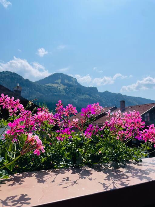 Berge, Wandern, Erholung Pur! Fewo Tinka-Haus Katja Бад-Хинделанг Экстерьер фото