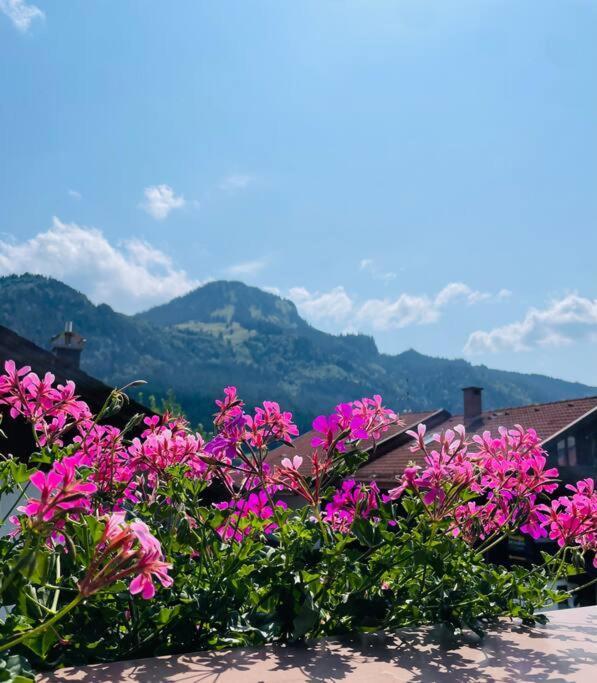 Berge, Wandern, Erholung Pur! Fewo Tinka-Haus Katja Бад-Хинделанг Экстерьер фото